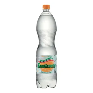 GAUDIANELLO ACQUA 1,5 LT
