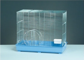 Gabbia Scoiattolo – Domus Molinari – Gabbie per scoiattoli