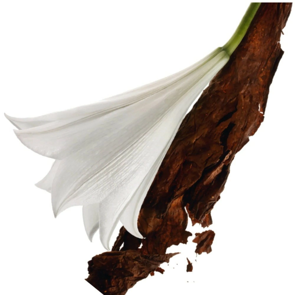 Mon Paris Eau de Parfum - immagine 5