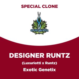 Designer Runtz | Exotic Genetix | Special Clone
