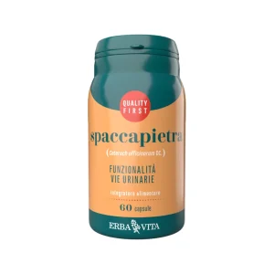 SPACCAPIETRA 60CPS EBV