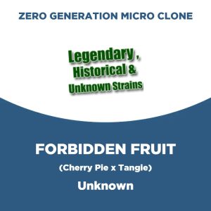 Forbidden Fruit | Unknown | Zero Generation Micro Clone