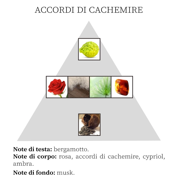 Diffusore Ambiente Accordi di Cachemire - immagine 3