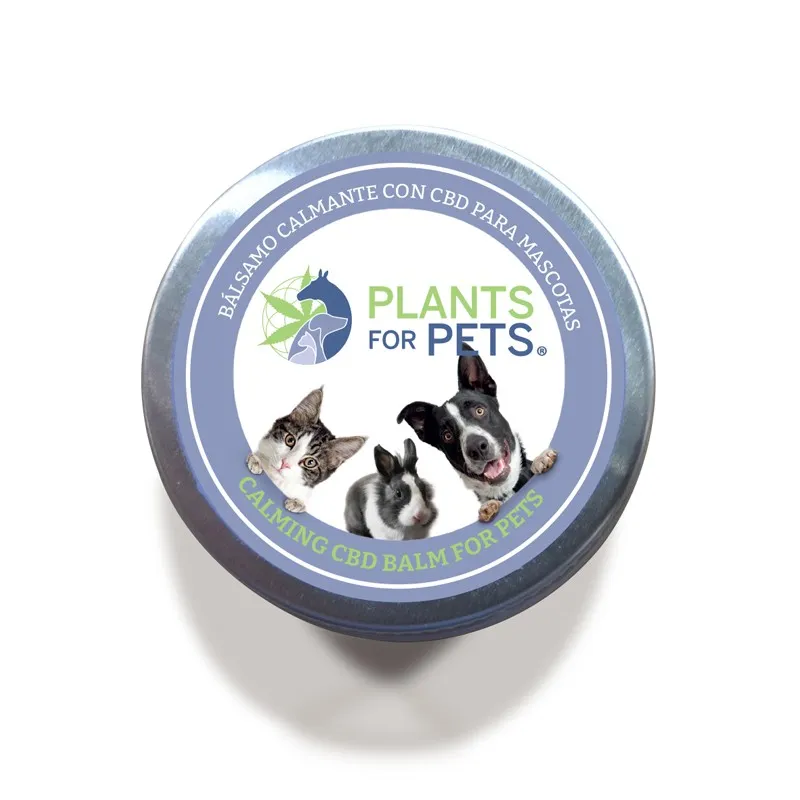 Plants for Pets Balsamo Calmante CBD 500mg CBG 100mg (20gr) - immagine 3