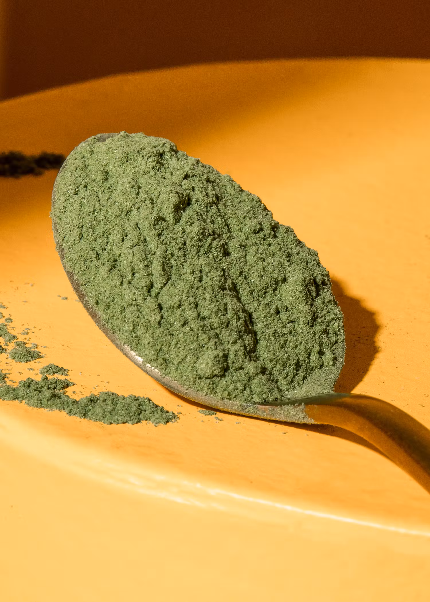 Spirulina verde Bio 500gr