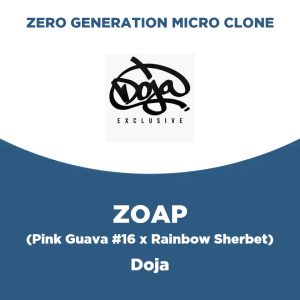 Zoap | Doja | Zero Generation Micro Clone
