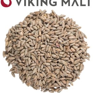 MALTO DI SEGALE IN GRANI VIKING – RYE MALT (5 KG.)