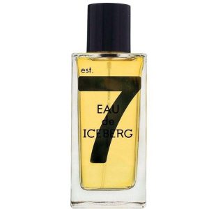 “TESTER” EAU DE ICEBERG OUD edt 100ml uomo NO TAPPO